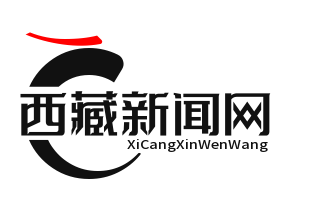 吉隆县中尼边境智慧口岸正式启用，通关效率大幅提升，通关时间压缩至30分钟